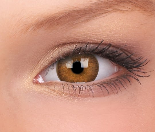 FIZZY - Hazel